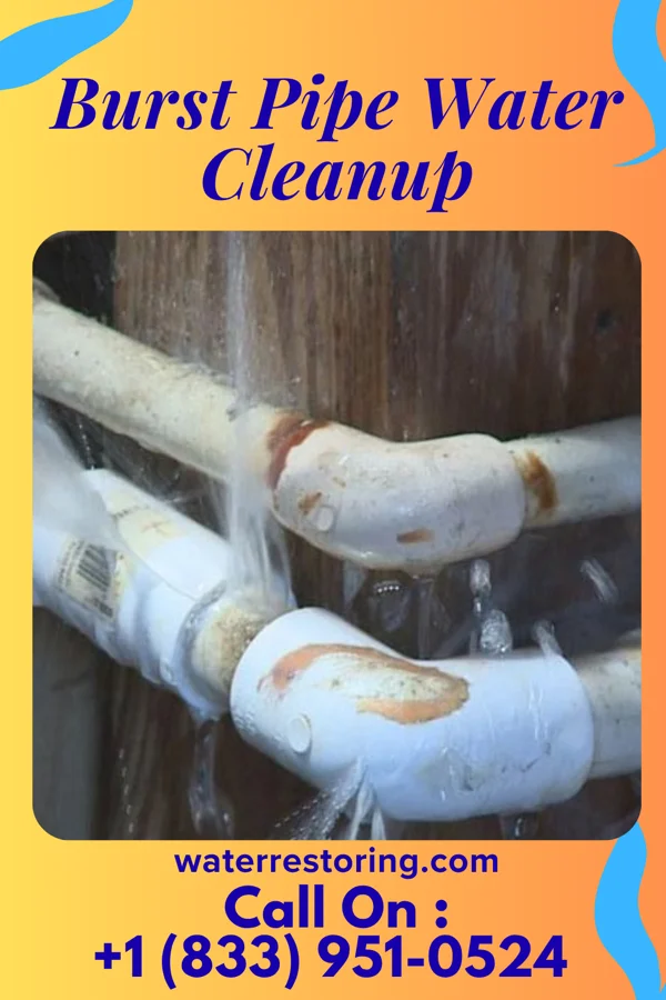 Burst Pipe Water Cleanup in Waco, GA