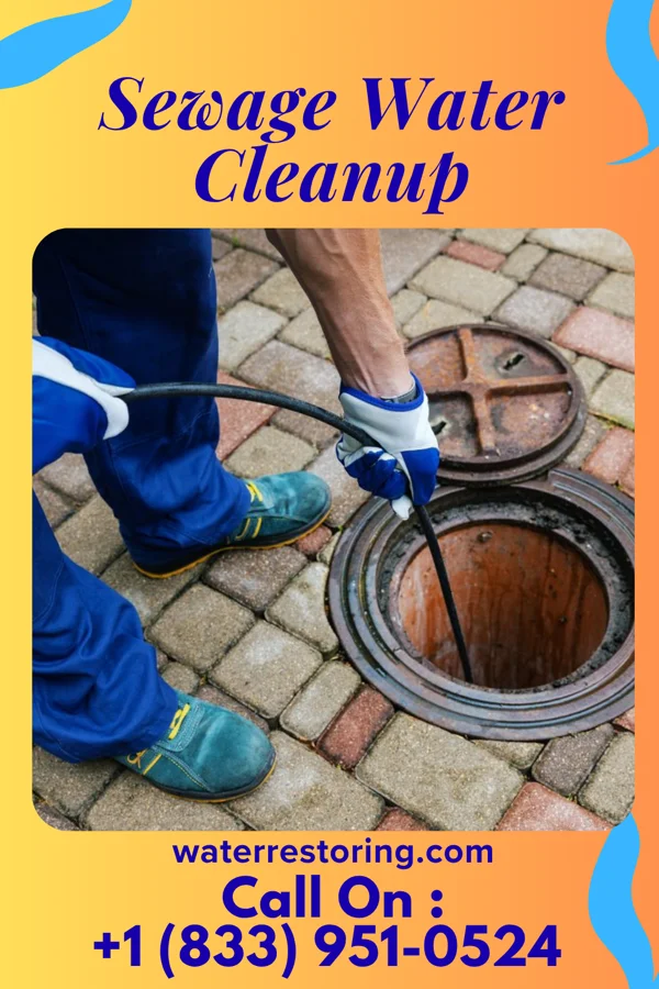 Sewage Water Cleanup in Waco, GA